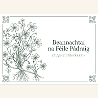 <strong><center>St. Patrick's Day Cards</center></strong><br/><BR/>